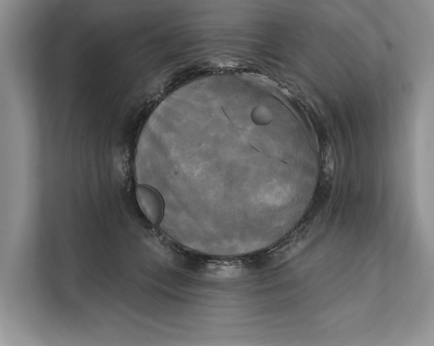 X0000111480559200908041124