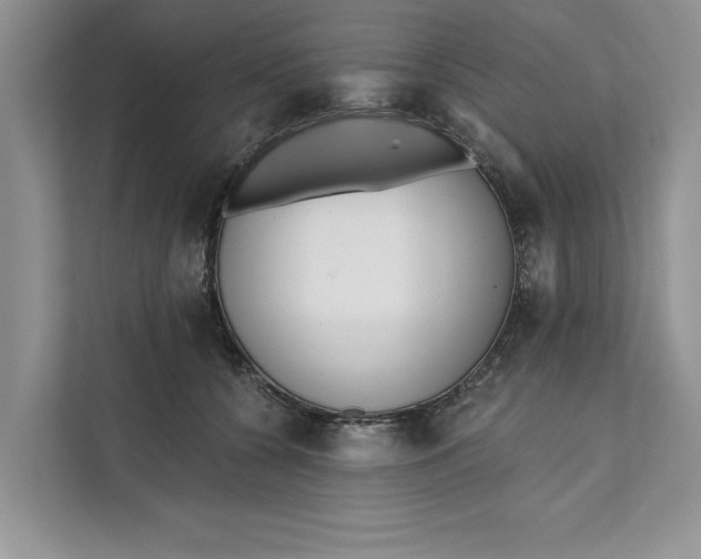 X0000111480560200908041124