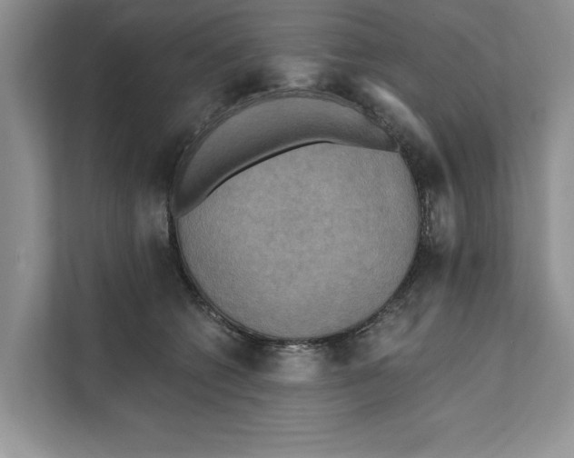 X0000111480562200908041124