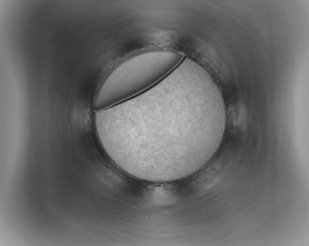 X0000111480564200908041124