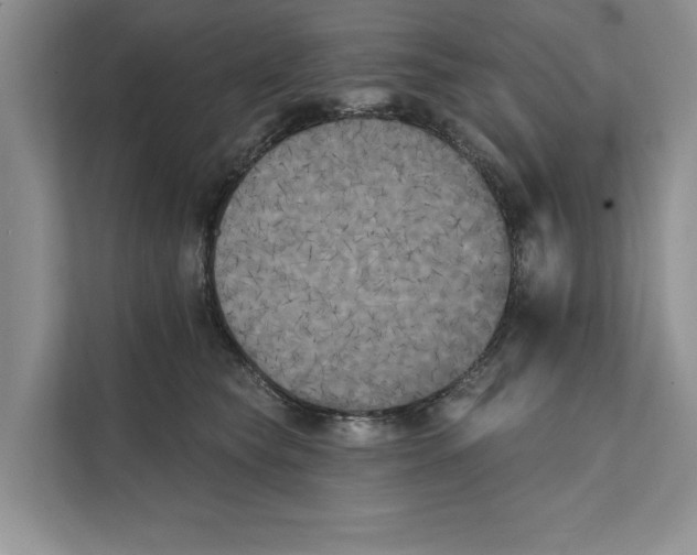 X0000111480565200908041124