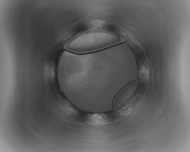 X0000111480566200908041124
