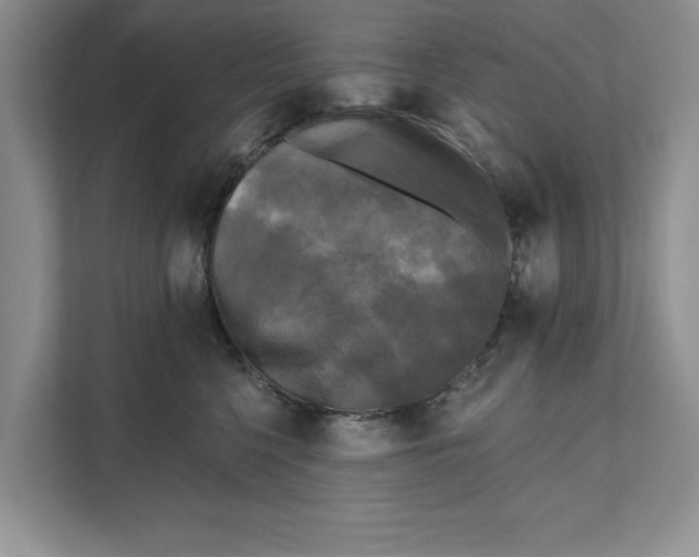 X0000111480568200908041124