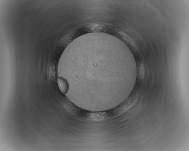 X0000111480571200908041124