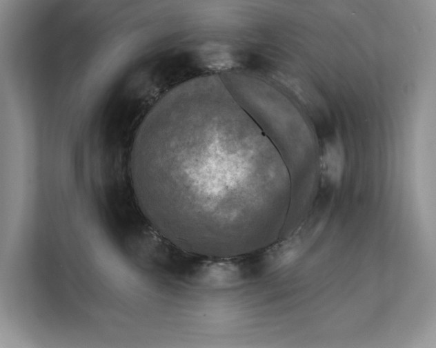 X0000111480572200908041124
