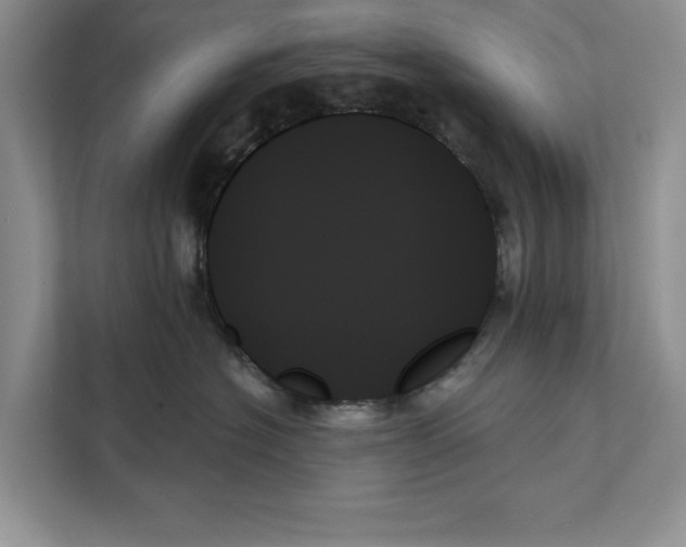 X0000111480574200908041124