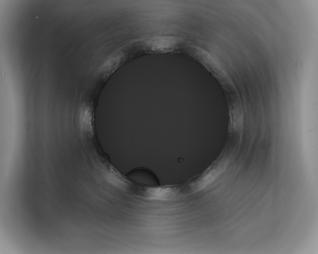 X0000111480575200908041124