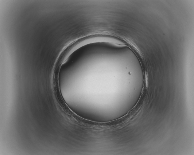 X0000111480579200908041124