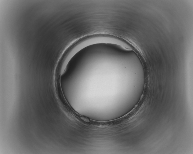 X0000111480584200908041124