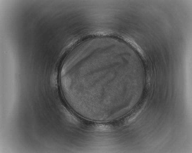 X0000111480585200908041124