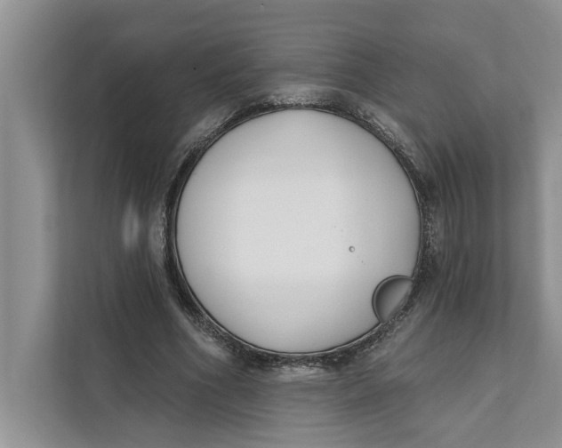 X0000111480586200908041124