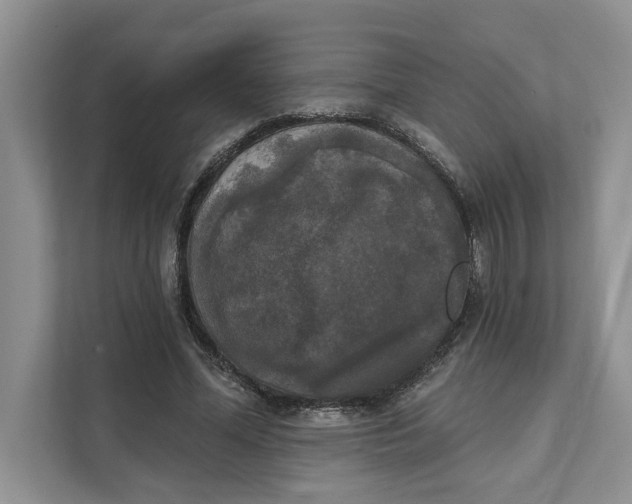 X0000111480588200908041124