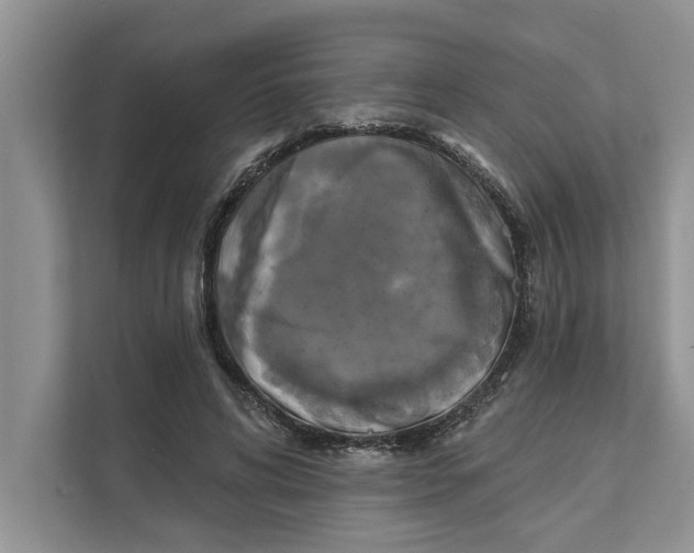 X0000111480592200908041124