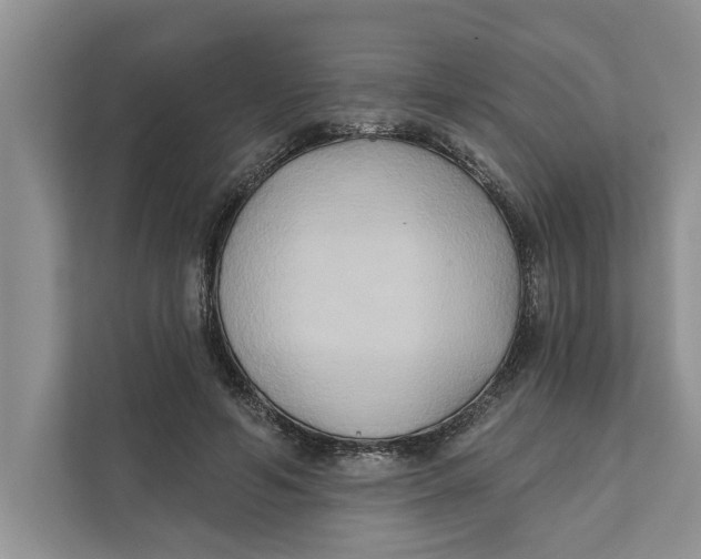 X0000111480594200908041124
