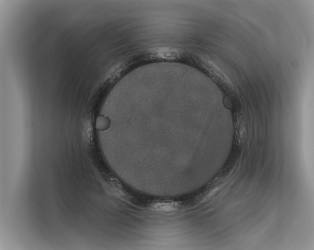 X0000111480595200908041124