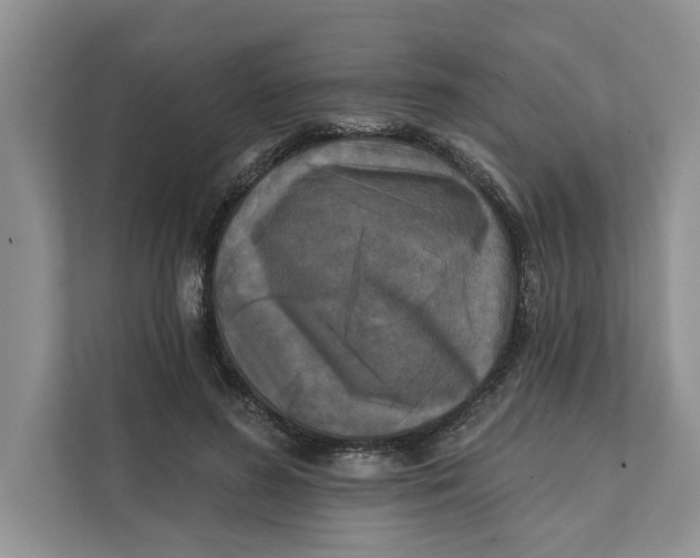 X0000111480596200908041124