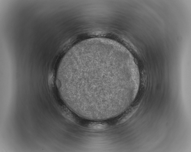 X0000111480597200908041123