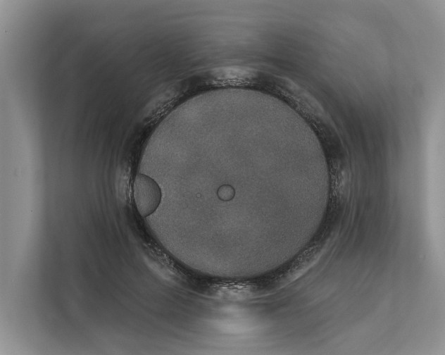 X0000111480599200908041123