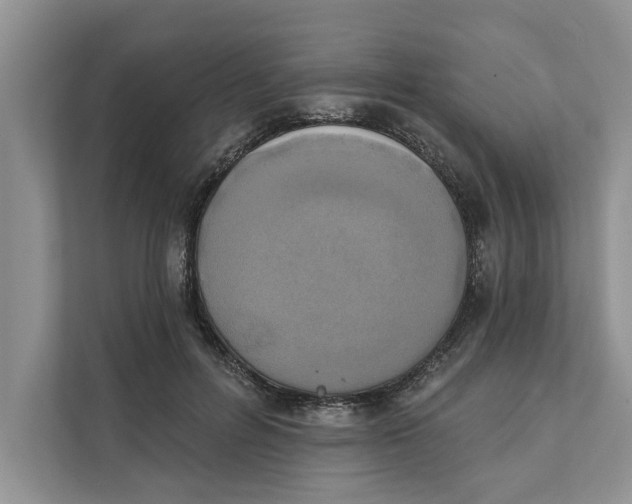 X0000111480600200908041123