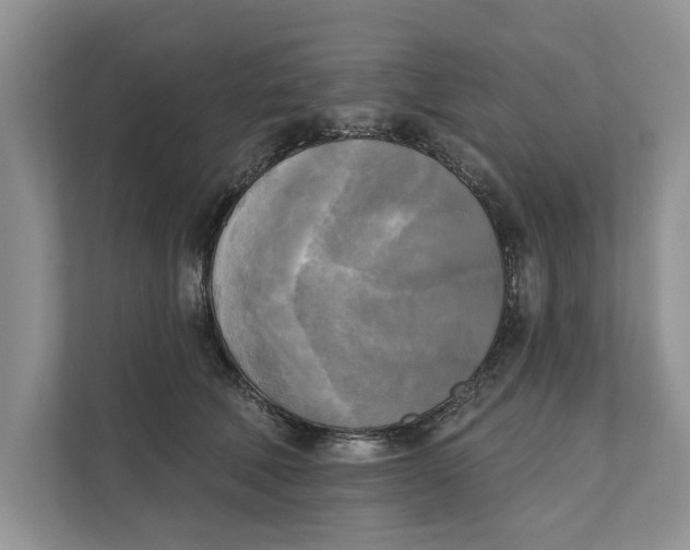 X0000111480610200908041123