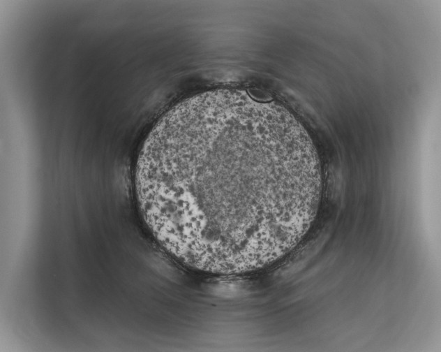 X0000111480612200908041123