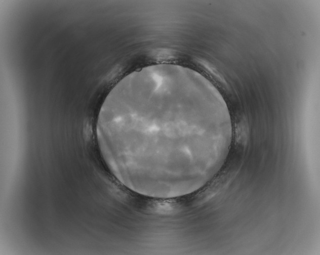 X0000111480618200908041123
