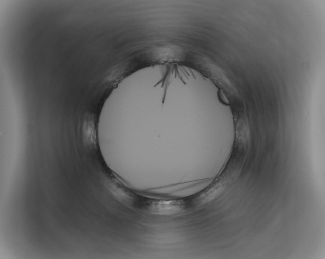 X0000111480622200908041123