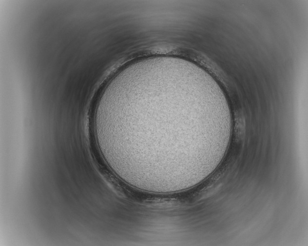 X0000111480626200908041123