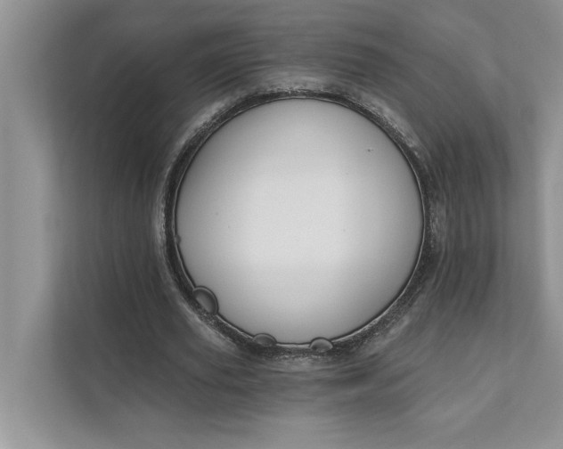 X0000111480629200908041123