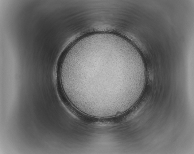 X0000111480630200908041123