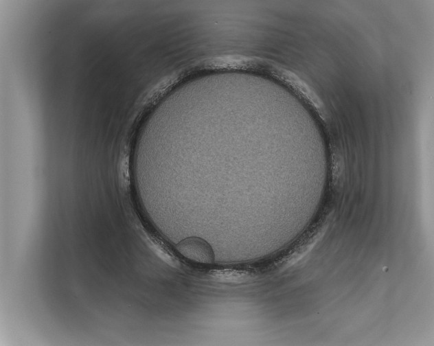 X0000111480633200908041123