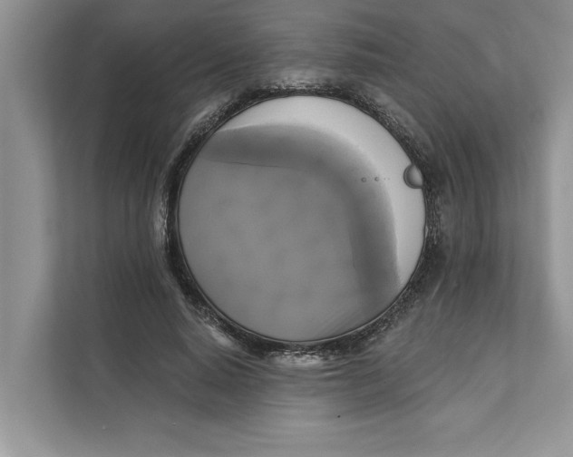 X0000111480640200908041123
