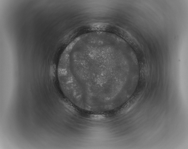 X0000111480649200908041123