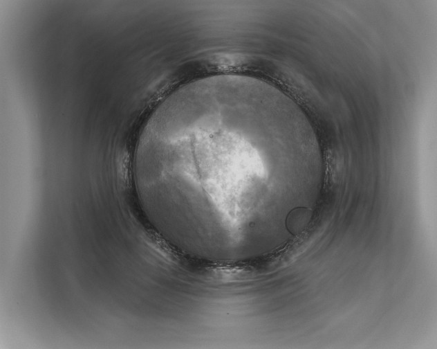 X0000111480650200908041123