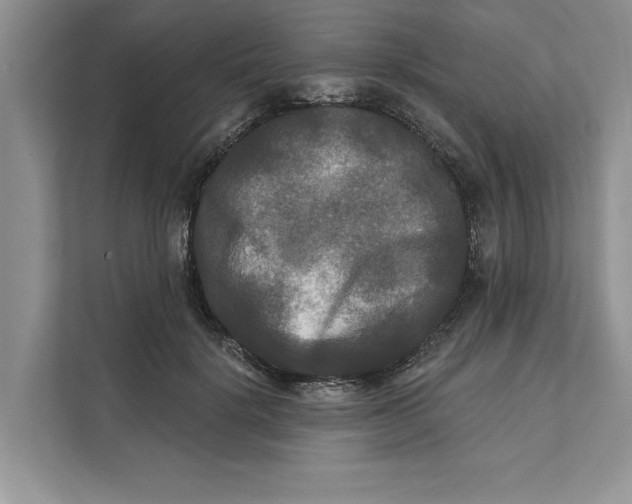 X0000111480652200908041123