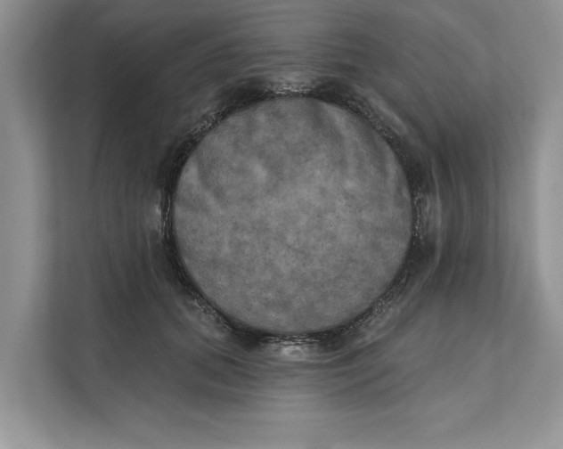 X0000111480655200908041123