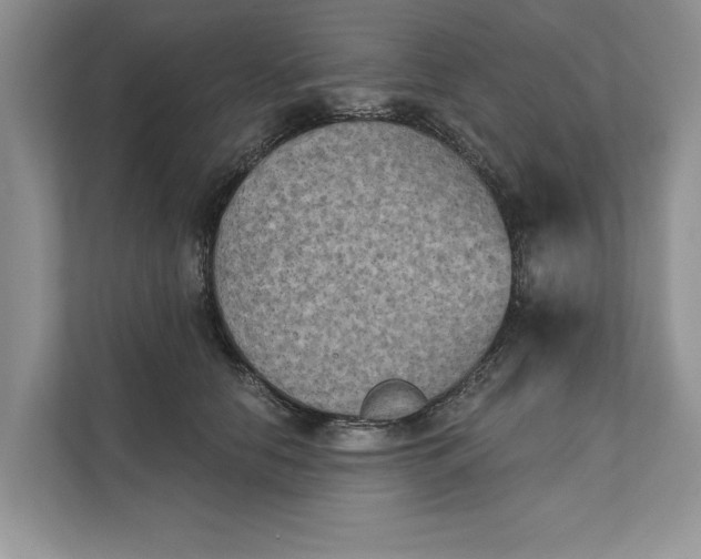 X0000111480658200908041123