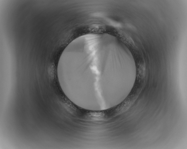 X0000111480659200908041123
