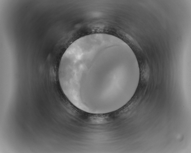 X0000111480661200908041123