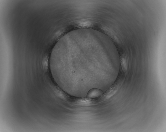 X0000111480668200908041123