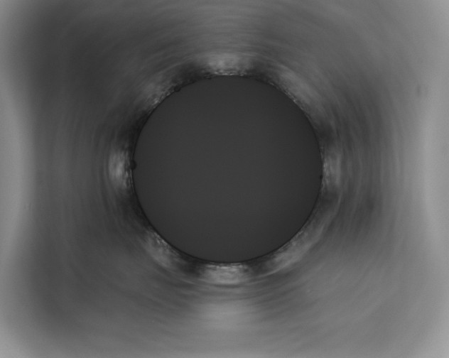 X0000111480671200908041123