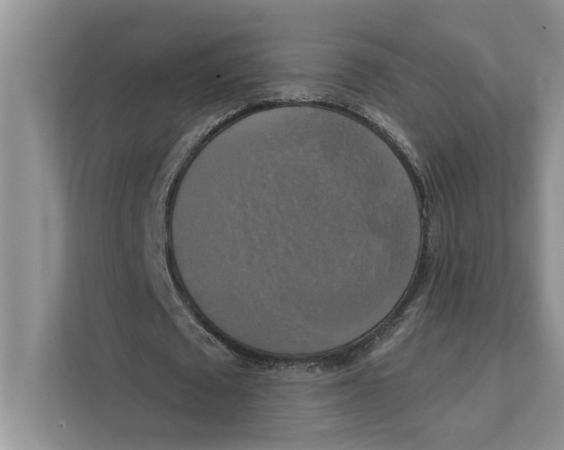 X0000111480673200908041123