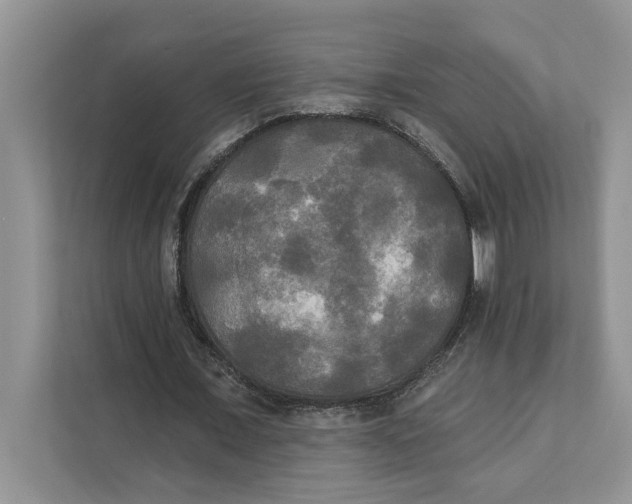 X0000111480675200908041122