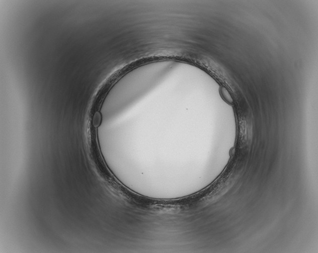X0000111480676200908041122