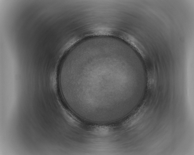 X0000111480677200908041122