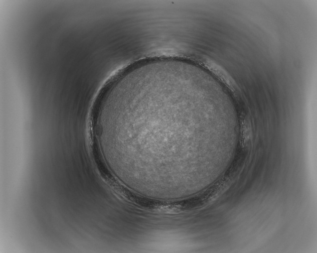 X0000111480680200908041122