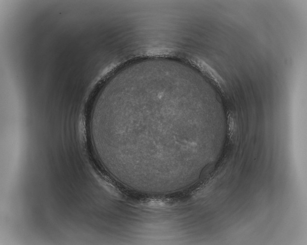 X0000111480684200908041122