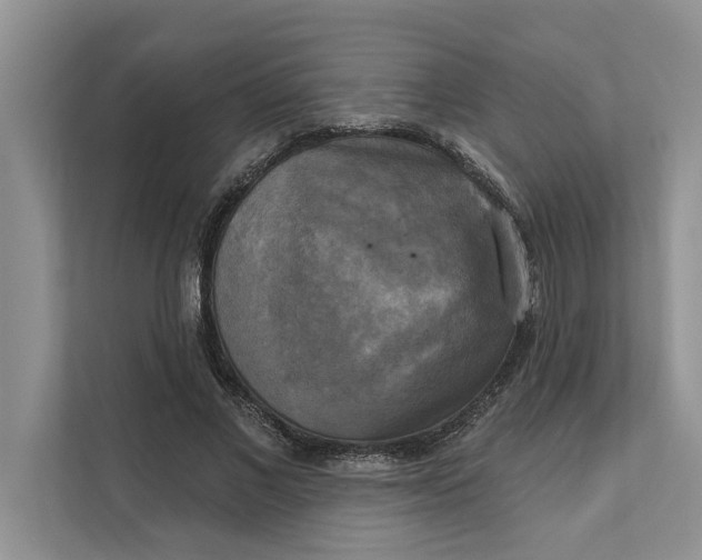 X0000111480685200908041122