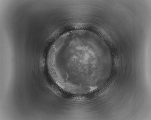 X0000111480691200908041122
