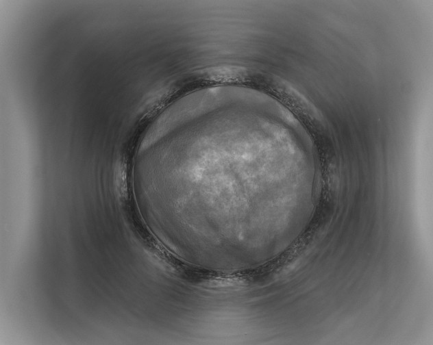 X0000111480696200908041122